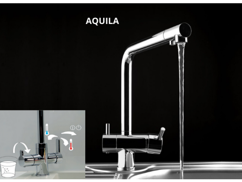 Alveus Aquila